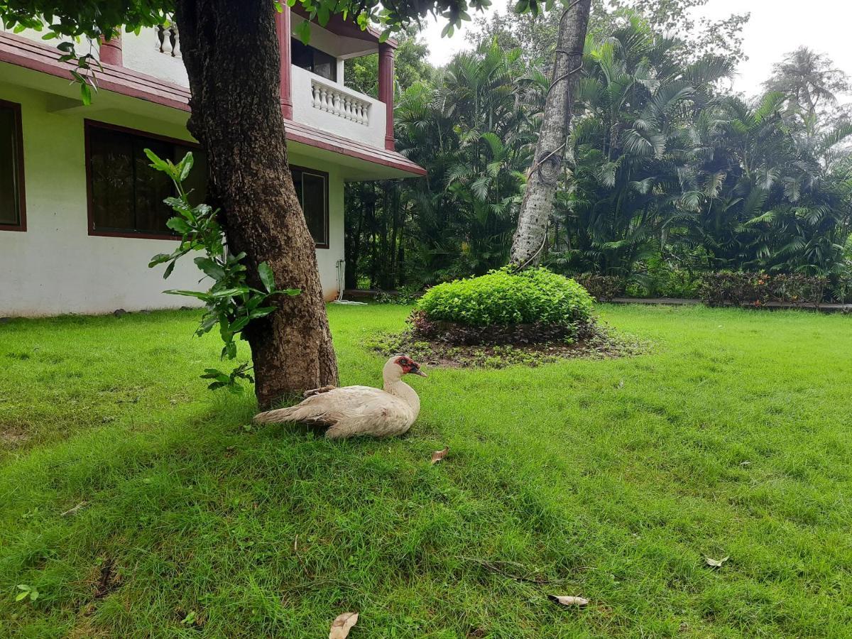 Seawoods Beach Hotel Dahanu Exterior foto